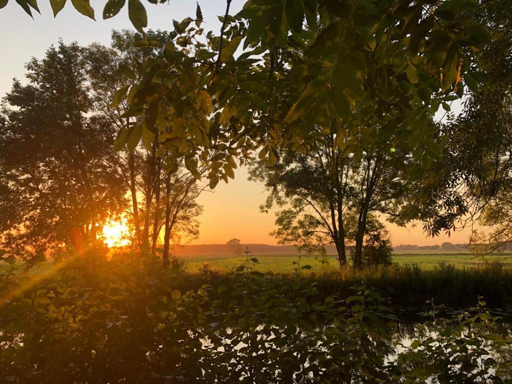 De Kastanjehof 31 Bed & Breakfast Beerta Dış mekan fotoğraf